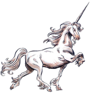 Unicorn | Forgotten Realms Wiki | Fandom