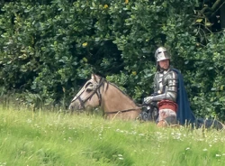 A knight on horseback.