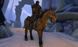 Tuigan Courser