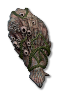 A fossilized kuo-toa shell shield.