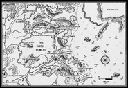 The map of the High Forest featured in Forsaken House.