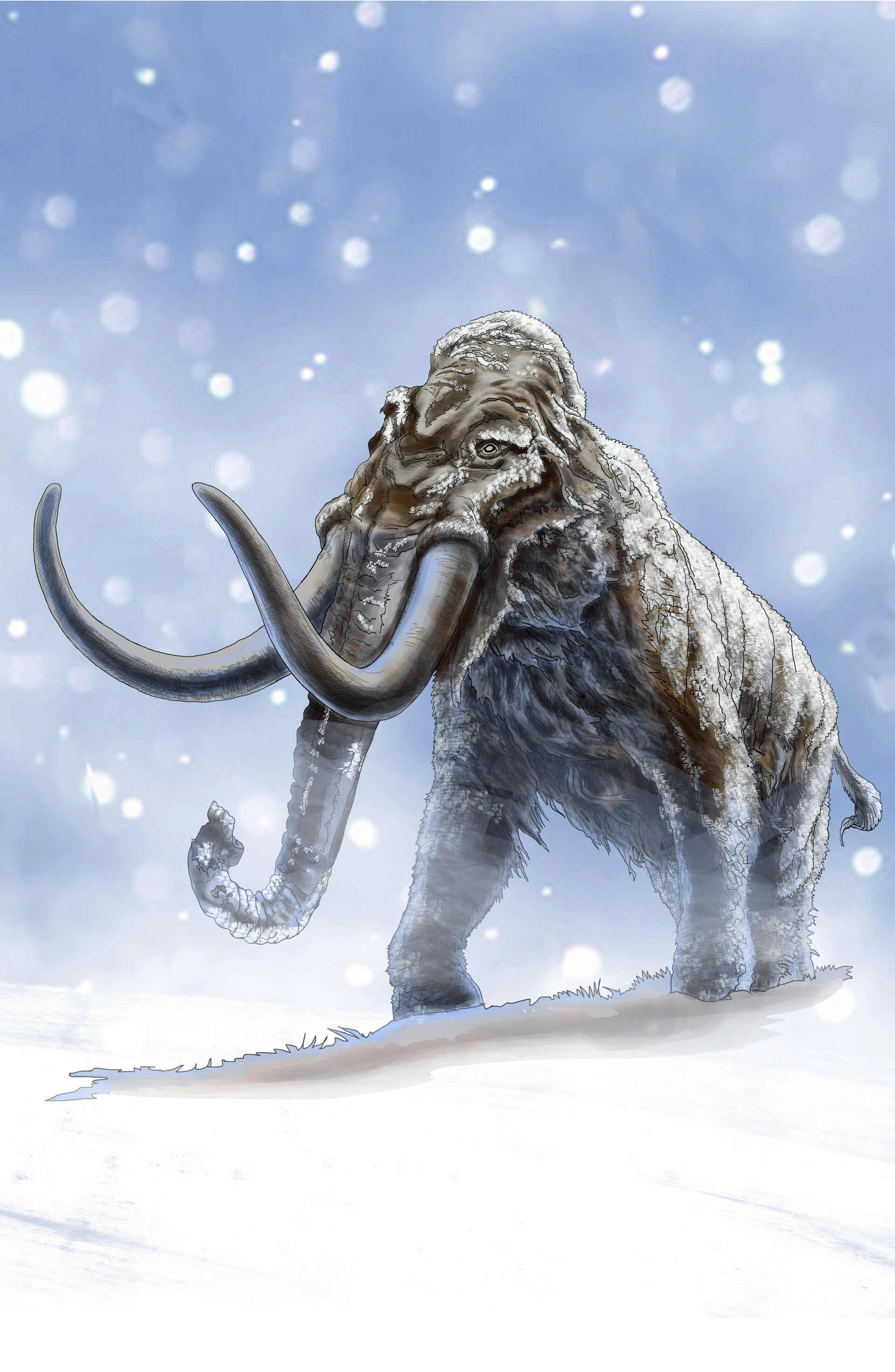 Mammoth | Forgotten Realms Wiki | Fandom