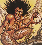 A depiction of a harpy from AD&D Trading Cards.