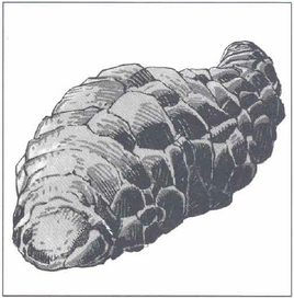 2e