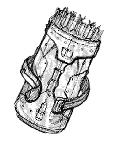 Quiver Of Plenty Forgotten Realms Wiki Fandom