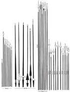 A simple illustration of various specialized spears as well as differently shaped standard spears, lances and pikes.