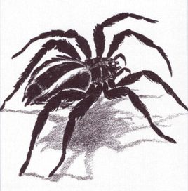 2e