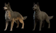 Gustav with the patchy coloring and Zola with black fur, the dogs of the Sword Coast Couriers.