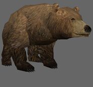 A brown bear in the Neverwinter Nights game editor.