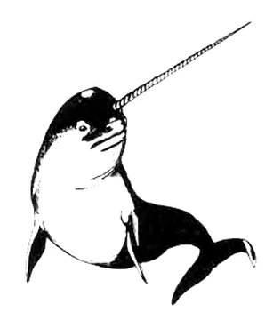 Narwhal | Forgotten Realms Wiki | Fandom
