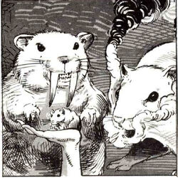 Azurite hamster cage 2025