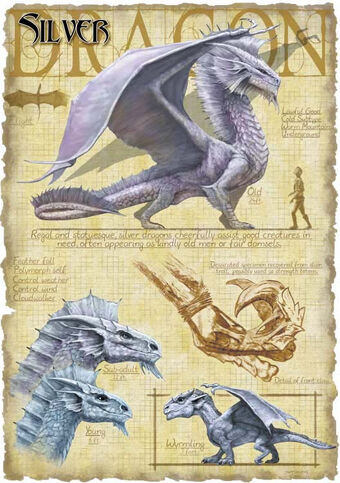 Silver Dragon Forgotten Realms Wiki Fandom The size categories are fine, diminutive, tiny. silver dragon forgotten realms wiki