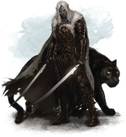 Drizzt and guenhwyvar-5e