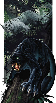 Hunting Panthers (D&D)