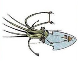 Cuttle Command AD&D