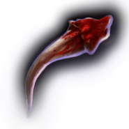 A venomous snake fang, harvested for the use in alchemy.