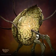 The explosive variety – intellect glutton.