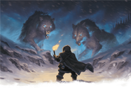 The winter wolves Kanan and Koran.