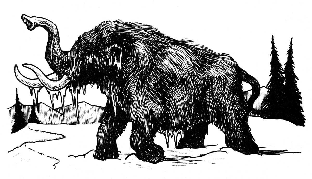 Featured image of post Dnd 5E Mammoth