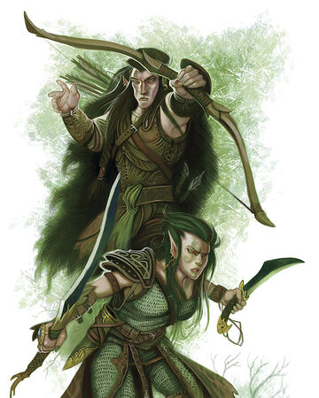 Elf Forgotten Realms Wiki Fandom