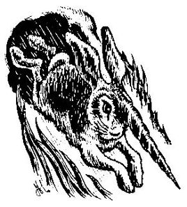 1e
