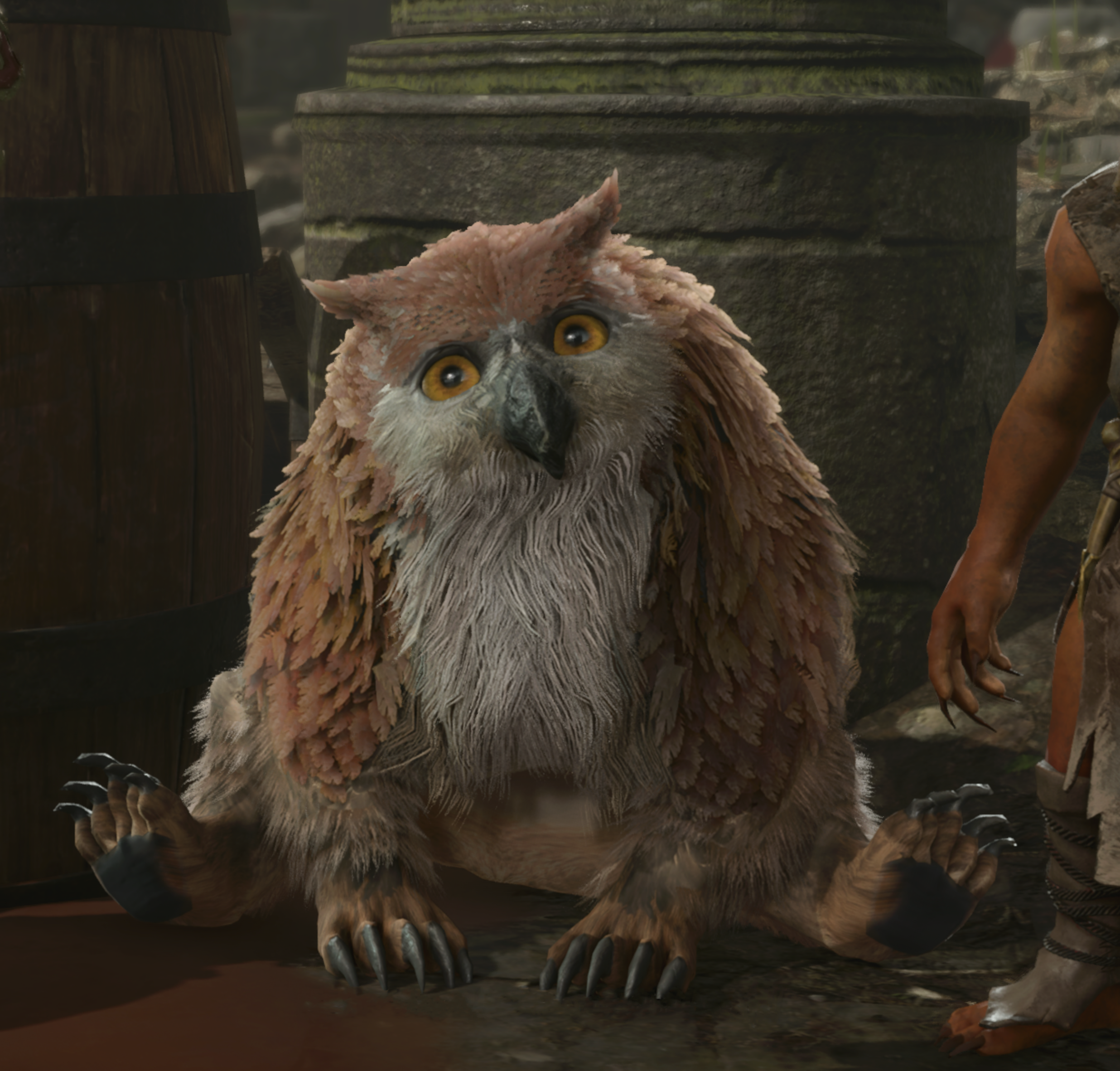 Owlbear Cub  Baldurs Gate 3 Wiki