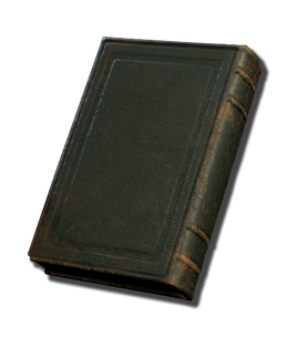 BG3 green book
