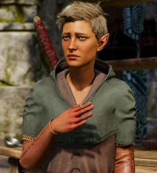 Apikusis in Baldur's Gate III Early Access.