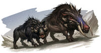 Boars - Jim Nelson