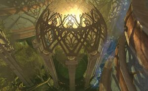 The Garden level
