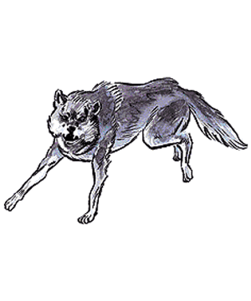 Direwolf - Albion Online Wiki