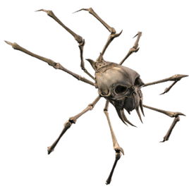 Bone Spider NWN2