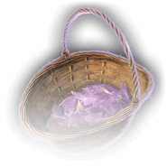 A basketful of harvested autumncrocus.