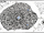 Ordulin