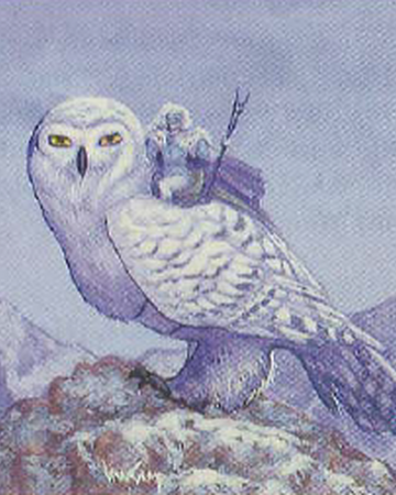 Featured image of post Giant Owl Dnd 5E