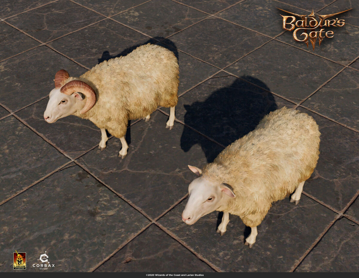 Sheep | Forgotten Realms Wiki | Fandom