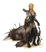 The elf rogue, concept.