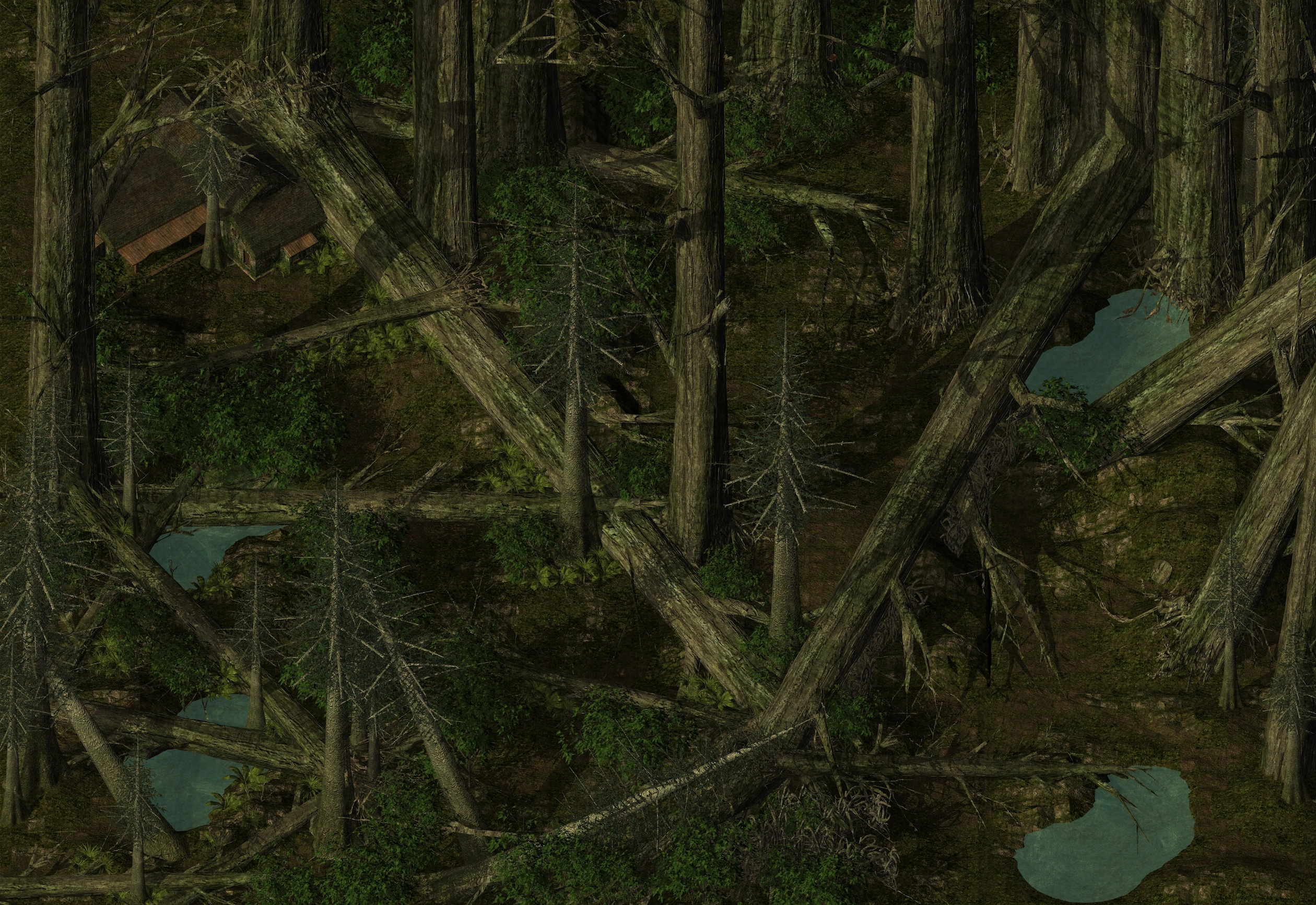 Forest of Tethir | Forgotten Realms Wiki | Fandom