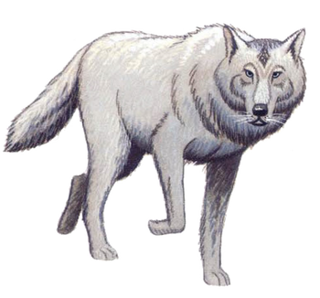 Wolf | Forgotten Realms Wiki | Fandom