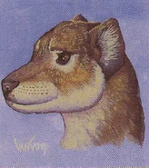 A portrait of a blink dog.