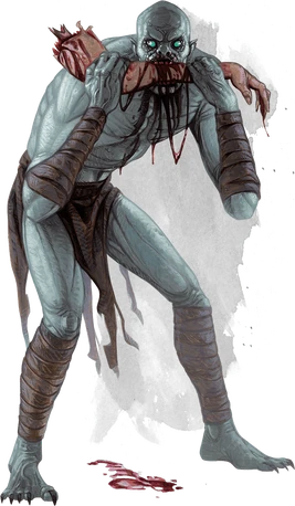 5e