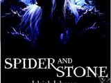 Spider and Stone