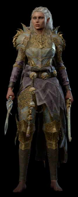 Blackguard's plate jaheira