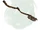 Wand of polymorph