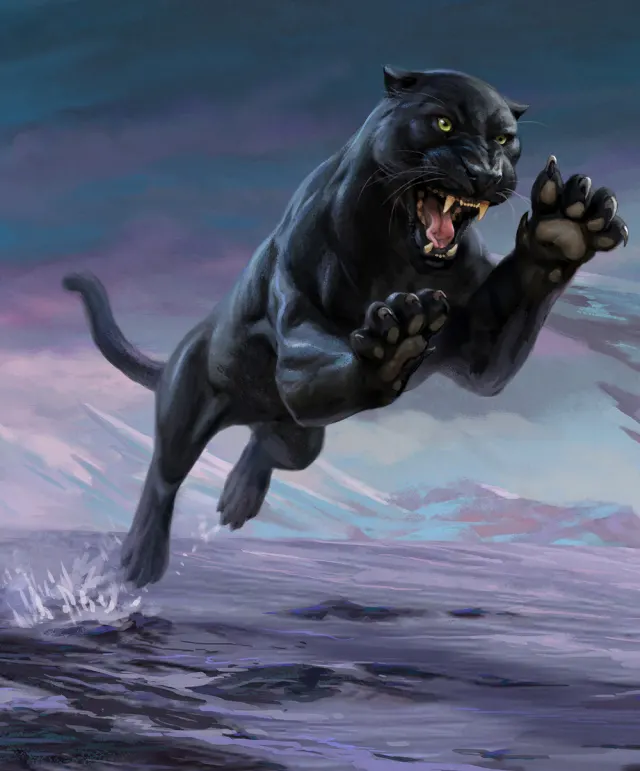 Panther, Forgotten Realms Wiki