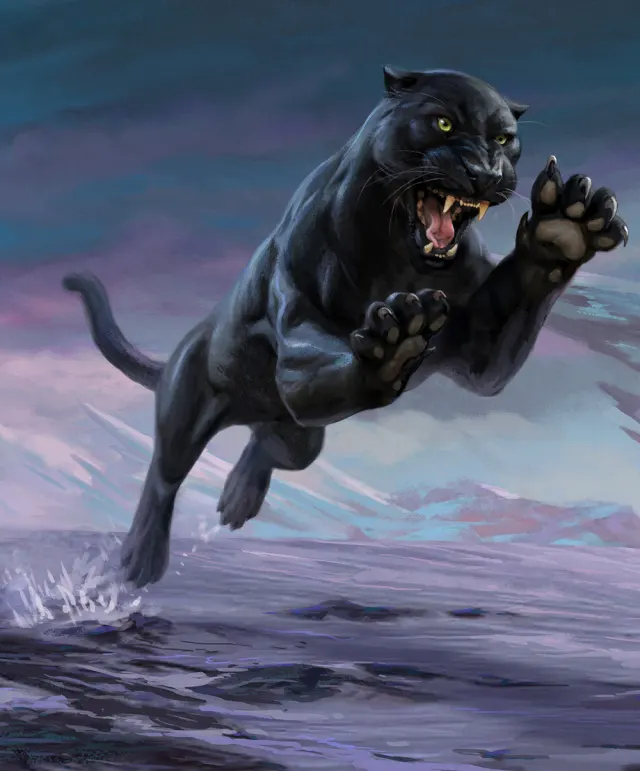 panther