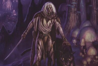 Menzoberranzan | Forgotten Realms Wiki | Fandom