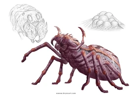 5e