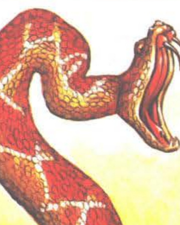 forgotten realms wiki fandom