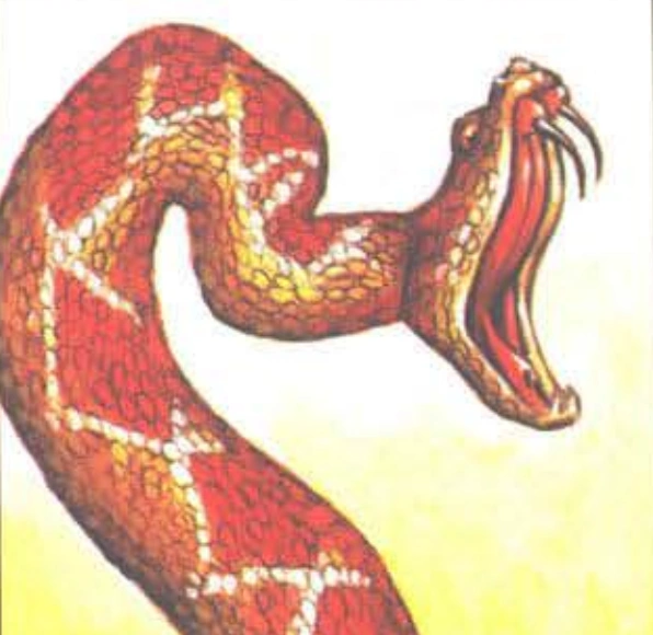 Giant venomous snake | Forgotten Realms Wiki | Fandom